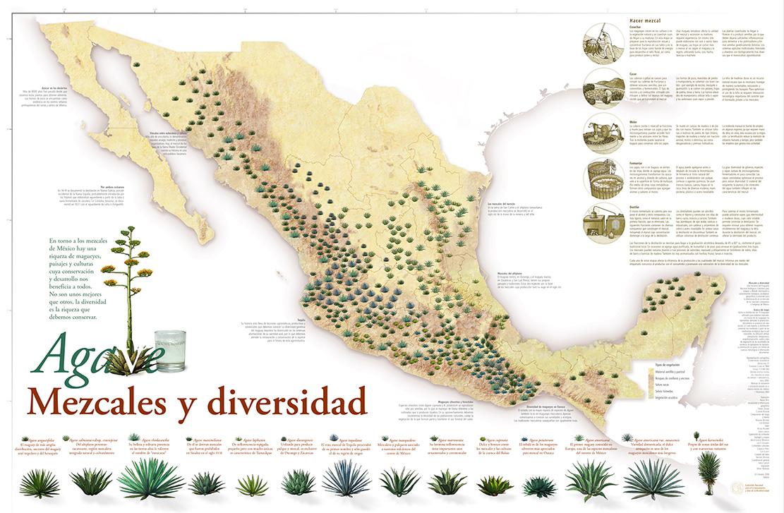 Map of agave growth locations in Mexico - "Agave Mezcales y diversidad"