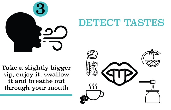 Step 3 - Detect Tastes: Take a slightly bigger sip, enjoy it, swallow it and breathe out through your mouth.