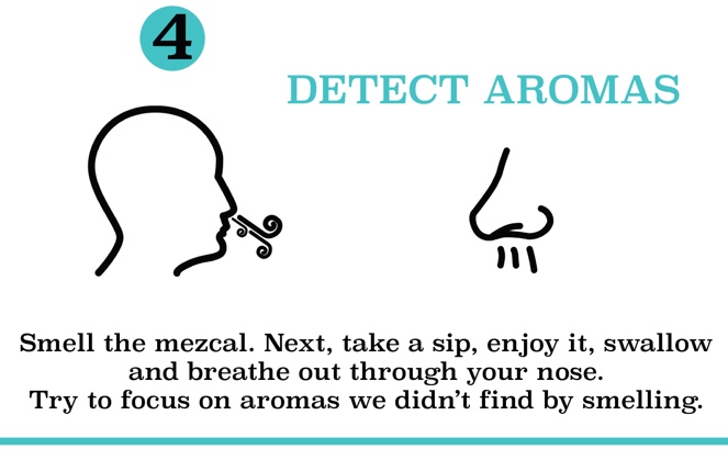 Step 4 - Detect Aromas: Smell the mezcal. Next, take a sip, enjoy it, swallow and breathe out through your nose. Try to focus on aromas we didn't find by smelling.